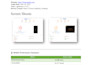 prepare an audit report, identify SEO issues, and provide an action plan